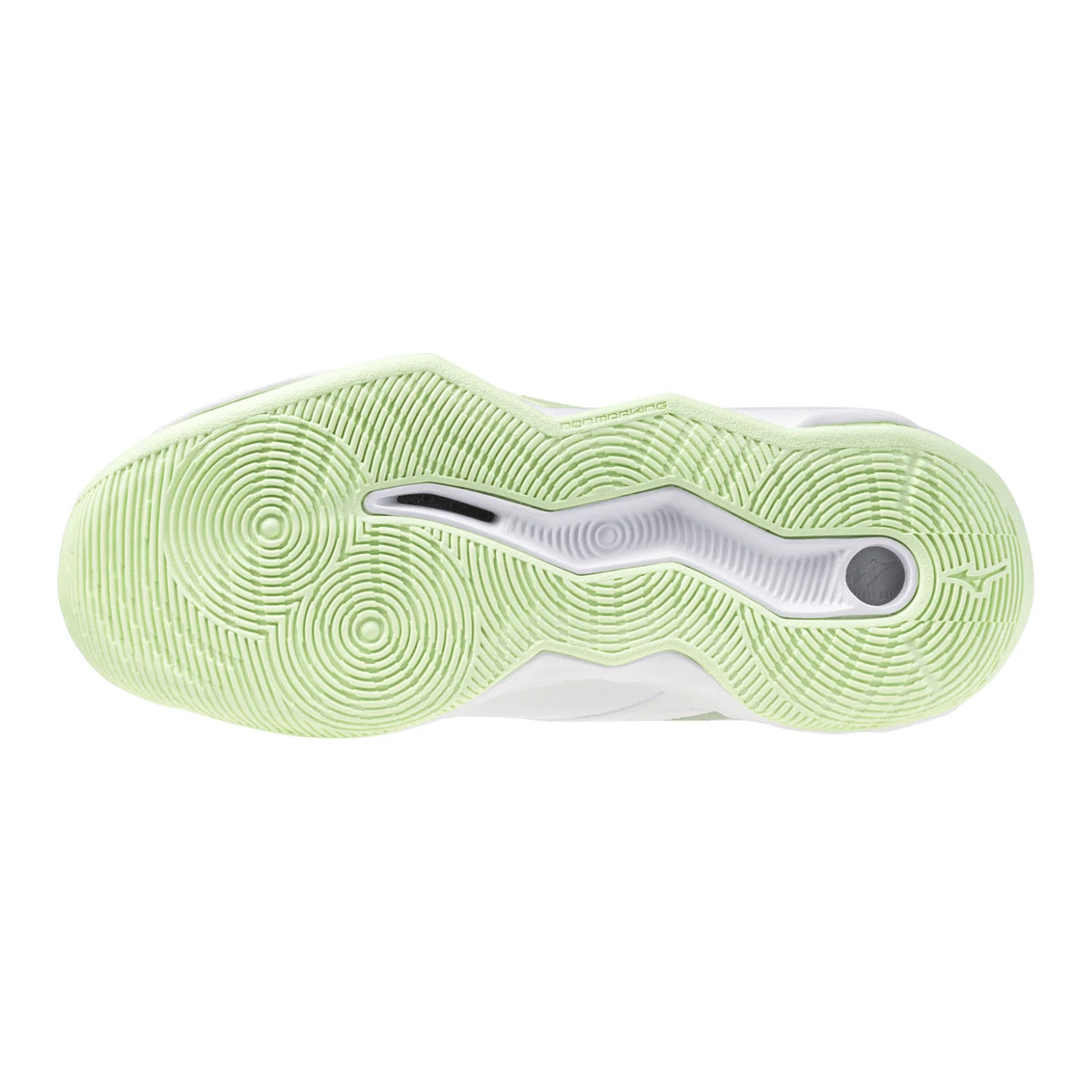 Mizuno - V1GA2545 - WAVE MOMENTUM PRO - WHITE/METALLIC GRAY/BLACK - unisex tenisice 2027